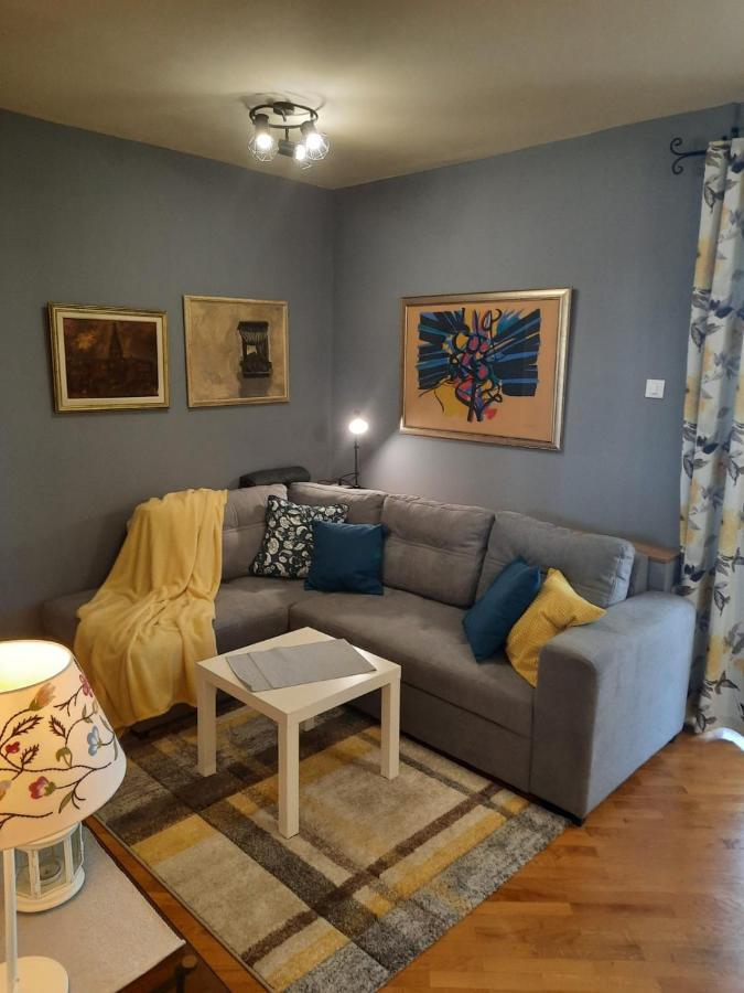 Premium Apartment Sunny 波雷奇 外观 照片